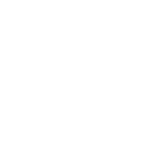 Icons 16 Die Wohnungen