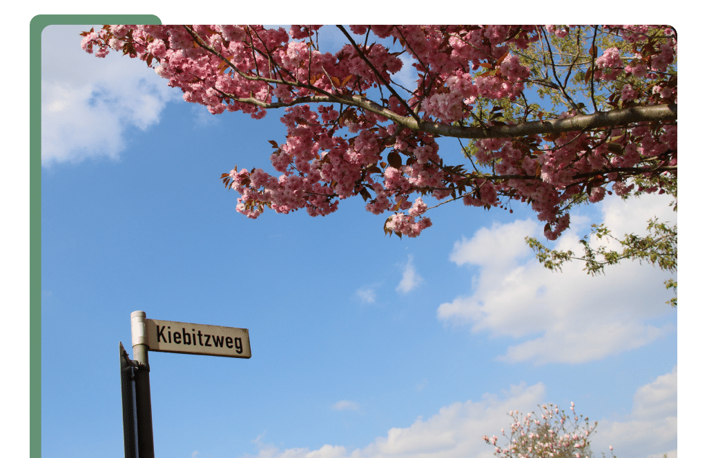 Kiebitzweg frühling Ihre Bewerbung