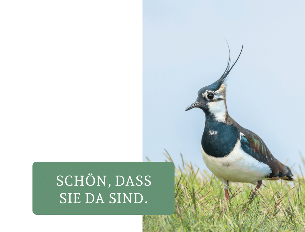 Schön dass sie da sind Startseite